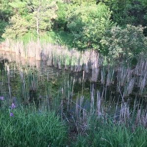 Meet your Posher, Moe